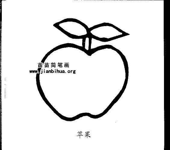 苹果简笔画与形态知识